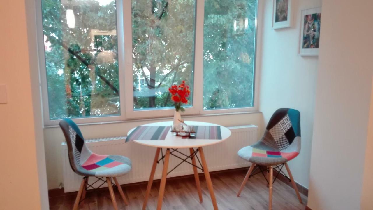 Central Music Apartment Τιμισοάρα Εξωτερικό φωτογραφία